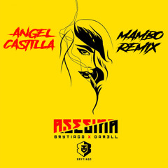 Brytiago X Darell - Asesina [Angel Castilla Mambo Remix]