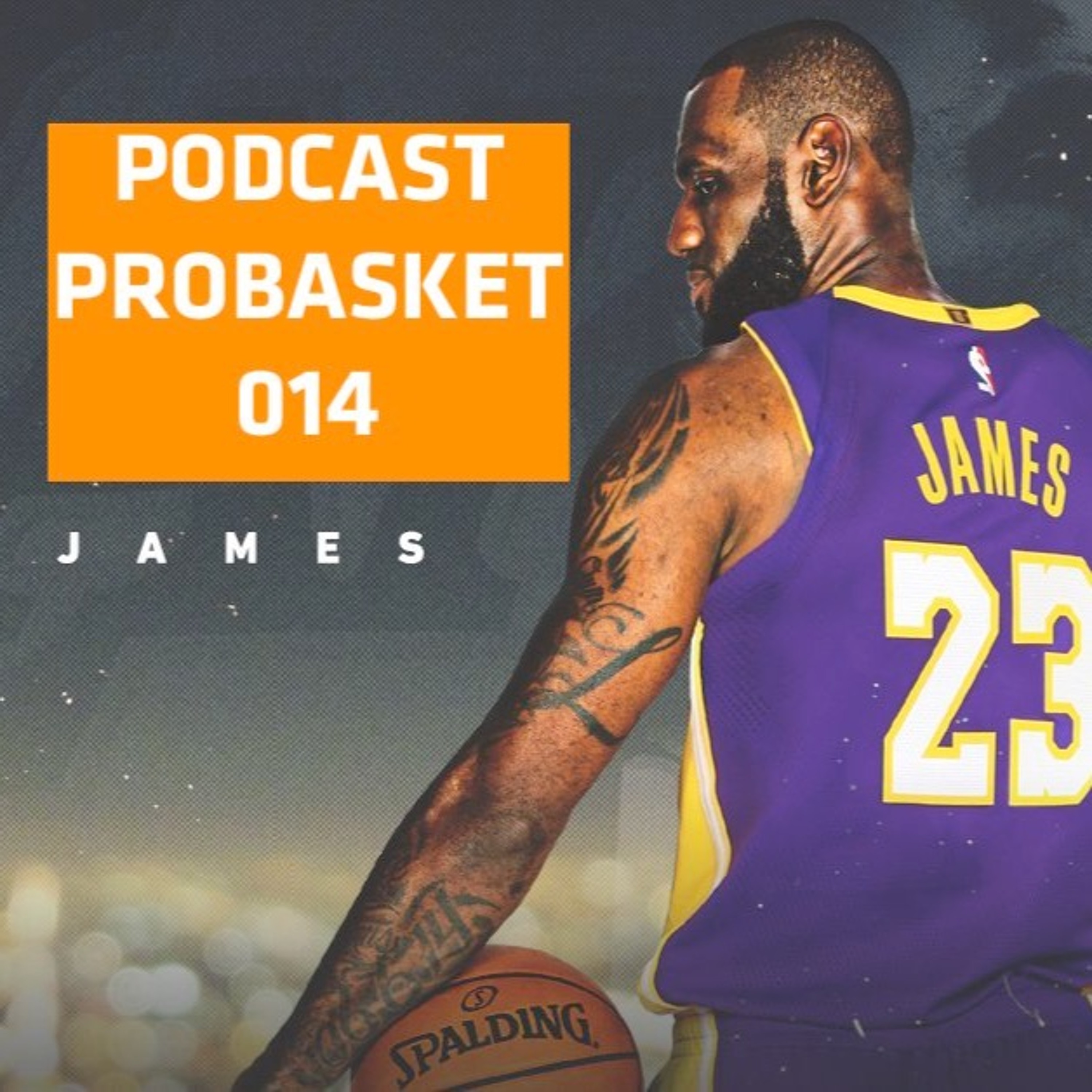 PROBASKET Podcast