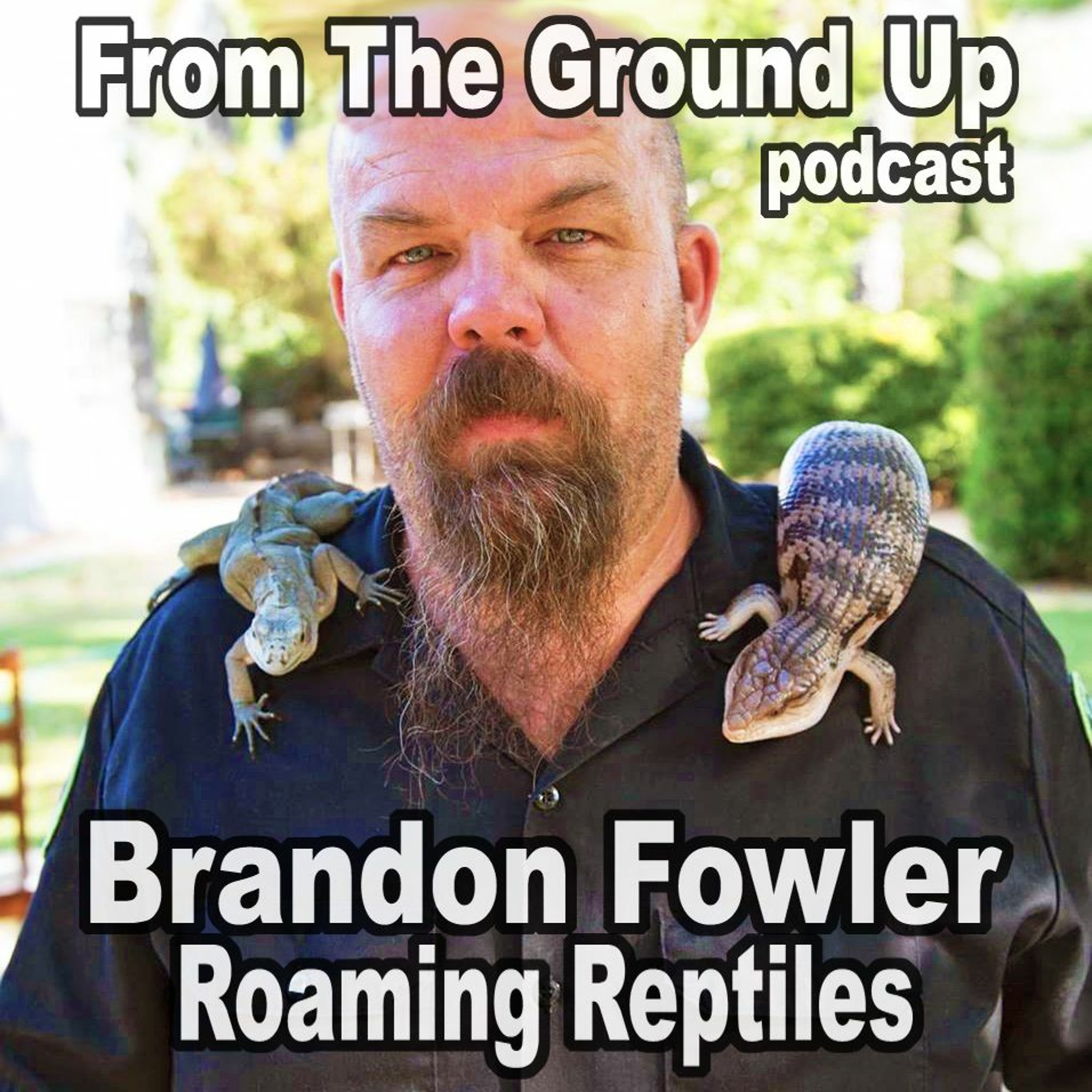 Modern Medusa Reptile Podcast - Where we talk everything cold-blooded (Snake Podcast)
