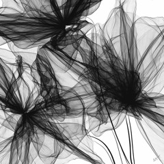 Black Ideas