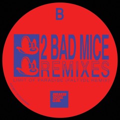 SNKR 014 2 Bad Mice "Limit Of Paradise (FaltyDL Remix)"