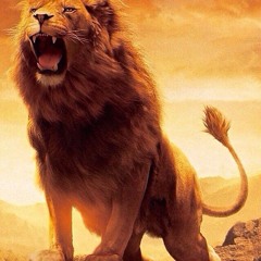 ROAR  (Reefa Squadron remix)