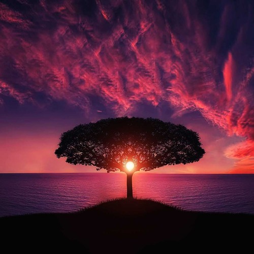 Adan - Ocean In Red (Original Mix)