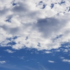 طول ما الشمس فيها نور