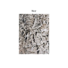 Nor [Free Download]