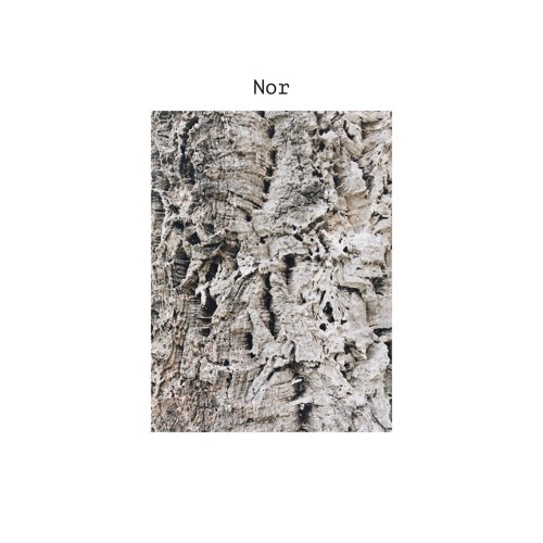 Nor [Free Download]