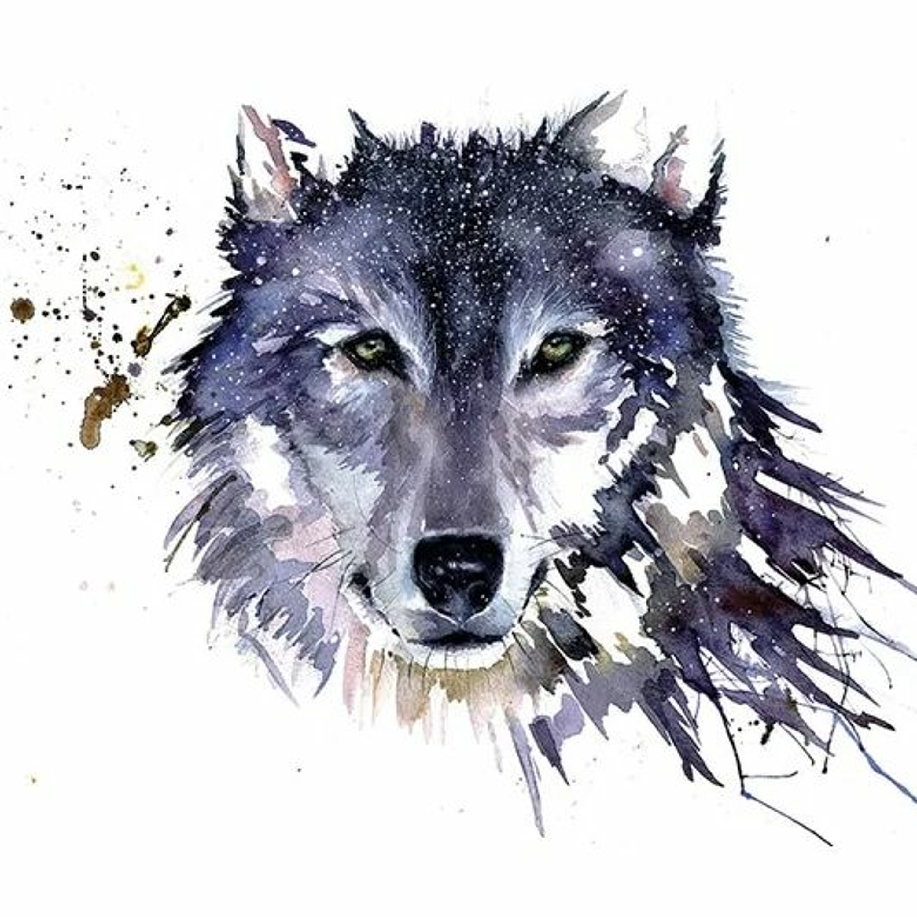 Eye Of The Wolf