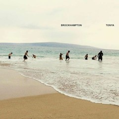 1999 WILDFIRE FREESTYLE