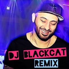 Nicki Minaj - Chun - Li (DJ BLACKCAT Twerk Remix) MASTERED