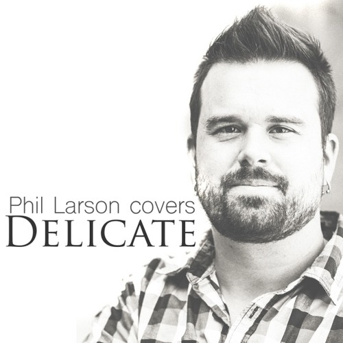 Delicate - Taylor Swift cover by Phil Larson
