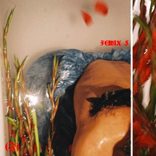 FEMIX 5 // ANTPUKE ♡