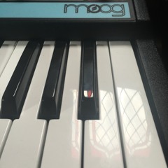 Moog