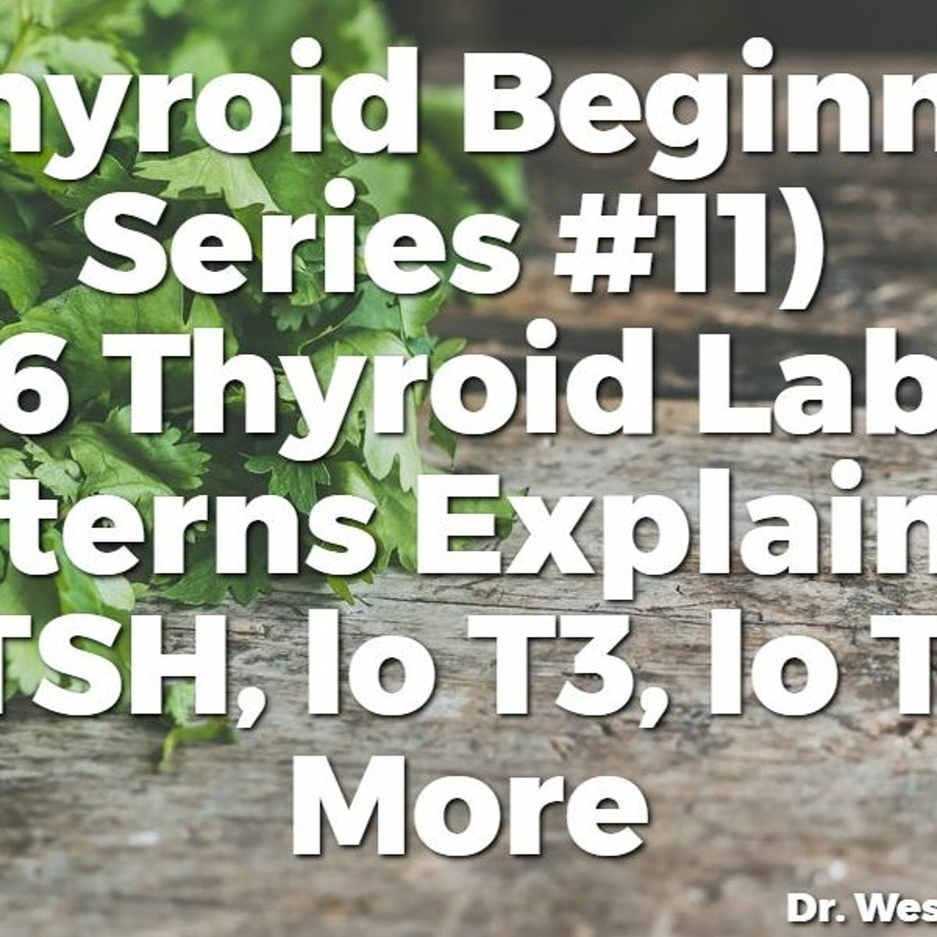 (TBS #11) Thyroid Lab Patterns Explained: Hi TSH, lo T3, lo T4 & More