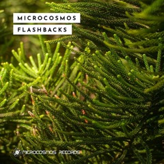 VA - Microcosmos Flashbacks (Mixed Compilation)