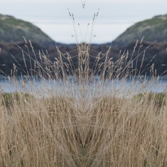 Coastal Plains