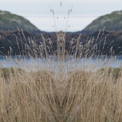 Coastal Plains