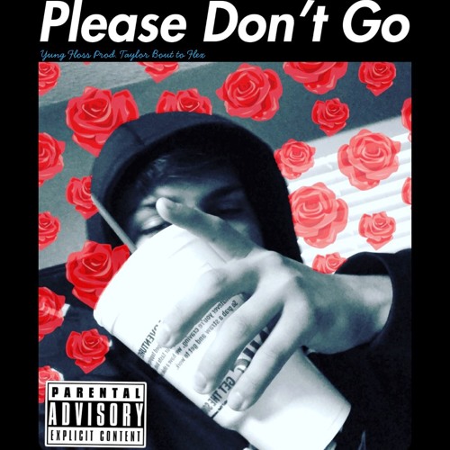 Please Don't Go
