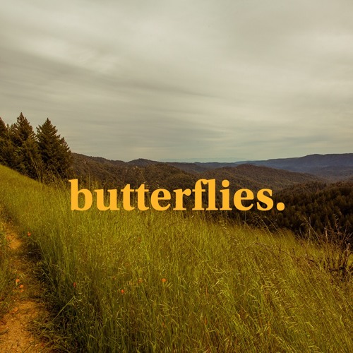 butterflies.