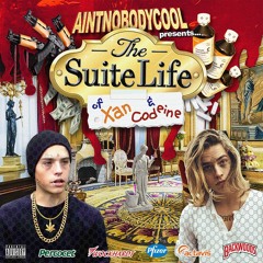The Suite Life Of Xan & Codeine