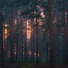 Atmospheric BG Clip 2