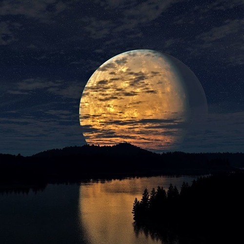 Girls Like You - [ DZER ] 2018