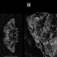 MNMT Premiere: Svarog – Decepticons