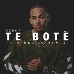 TE BOTE (KID KOBRA REMIX)