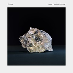 04 Overflow - Emilie Levienaise-Farrouch