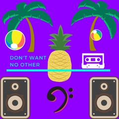 Don't Want No Other (Original Mix)
