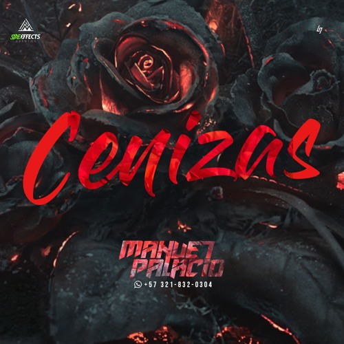 CENIZAS