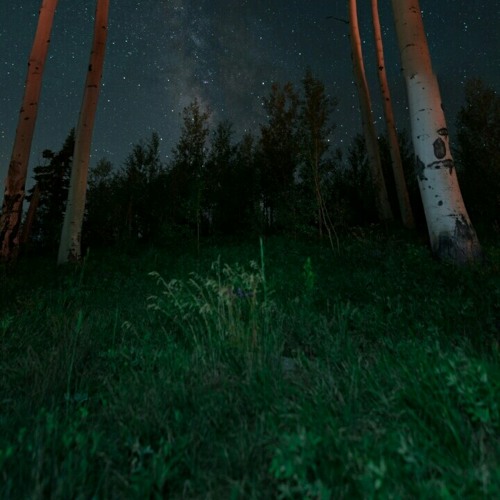 Feduk - Так тихо