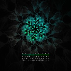 Ovidi Adlert - Now Or Never (Original Mix) Preview