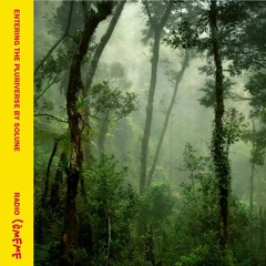 Radio Cómeme - Entering The Pluriverse by Solune