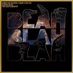 Armin Van Buuren vs W&W x Vini Vici - Chakra Blah (TwoBeats Mashup)Free Download