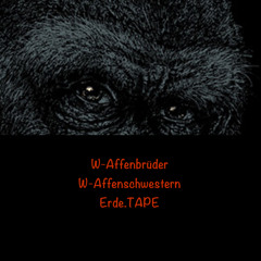 SEKTOR.1.6.MOVEMENT.WATHEKING.AUDIO.export.arranged.patterns.6bars8bars12bars.128BPM.edit