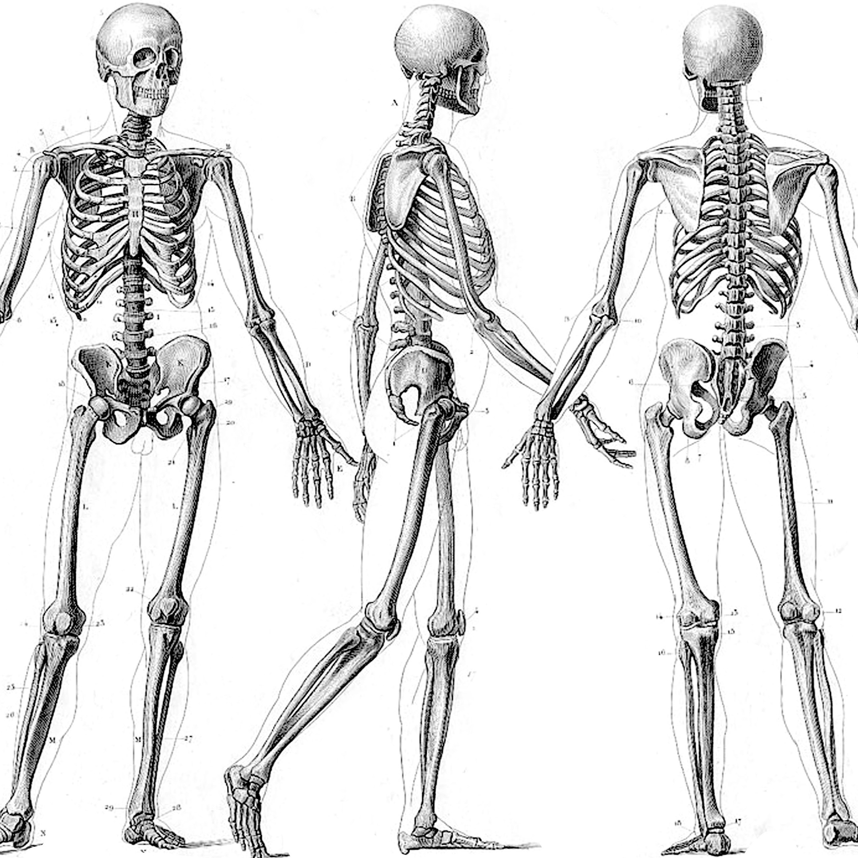 HTM005: Power VS. Hypertrophy