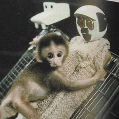 The Robot And The Baby