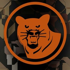 CAT SHENANIGANS GUEST MIX SERIES