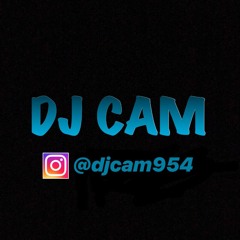 City Girls - Millionaire Dick (Fast)