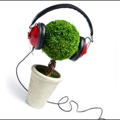 Musicplant