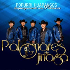 Palomares de Ojinaga - Popurri Huapangos / 2018