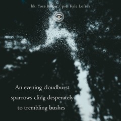 halF bebeN [naviarhaiku236]