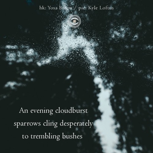 halF bebeN [naviarhaiku236]