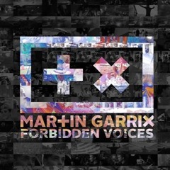 Martin Garrix-Forbidden Voices (Michael Howe Remix)