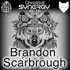 SYNERGY 2018 Brandon Scarbrough