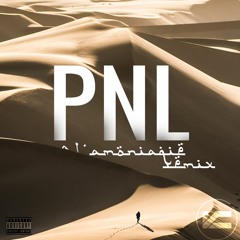 PNL - À l'ammoniaque (Afrotrap remix)