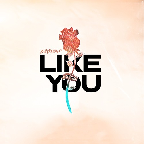 Brvndon P - Like You