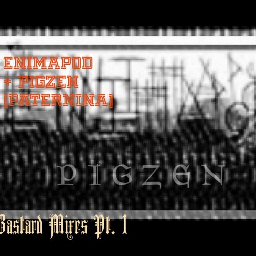 Enimapod + Pigzen - Muzak & Videodromo ( Bastard Mixes Pt. 1 )