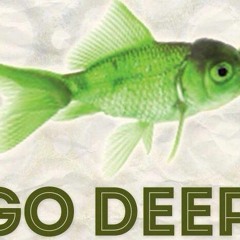 FISH GO DEEP Mix 2006