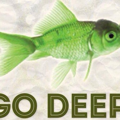 FISH GO DEEP Mix 2006
